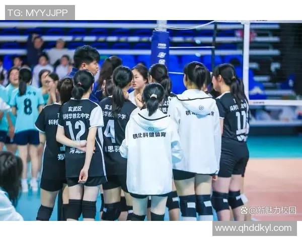 南京排球队勇夺最新排球耐力排行榜第一名引发热议