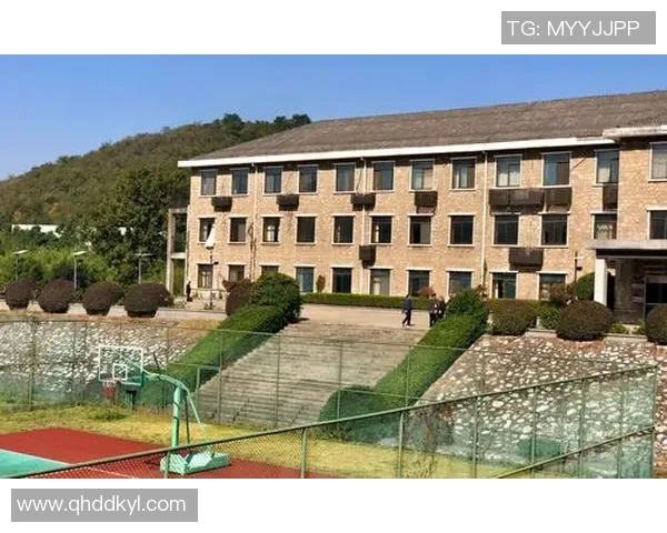 南京攀岩队个人能力分析与提升策略探讨 南京攀岩队个人能力分析与提升策略探讨