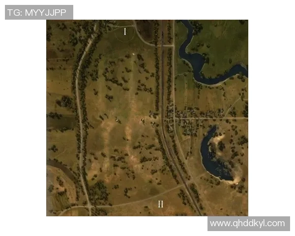 南京攀岩队防守策略深度分析与战术解读