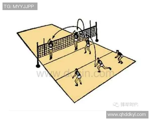 广州排球队阵地战解析：战术运用与球队发展全景剖析